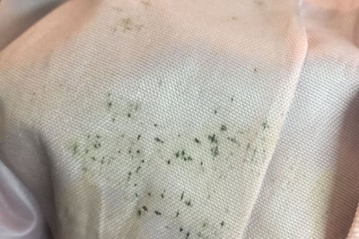 纺织类服装发霉怎么办？工厂如何应对以及如何清洗